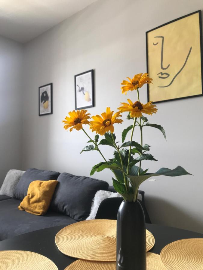 Apartament No82 Yellow Holiday Home Zator Buitenkant foto
